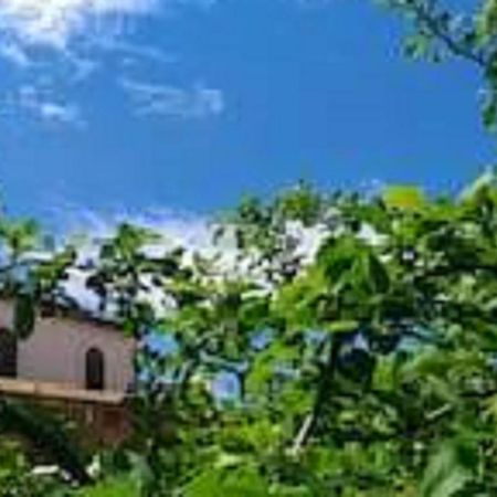 Il Gelsomino Home Holiday Алькамо Екстер'єр фото